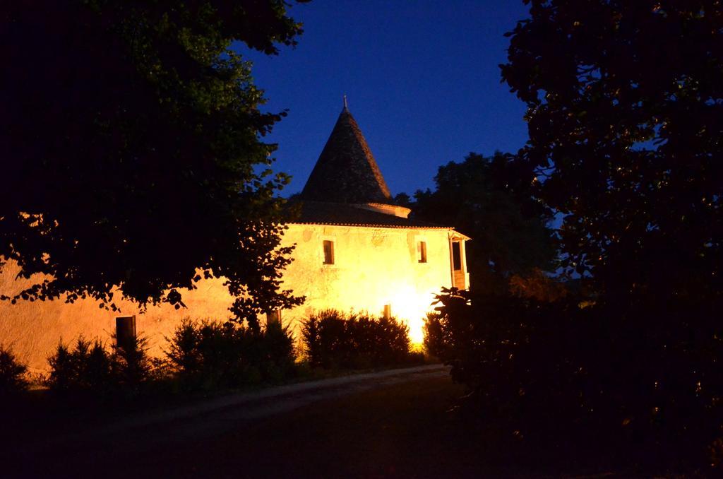 Chateau De Puyrigaud Bed and Breakfast Léoville Eksteriør billede